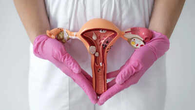 What happens after menopause? Ovaries take a second job instead of retiring, reproductive biologist reveals
