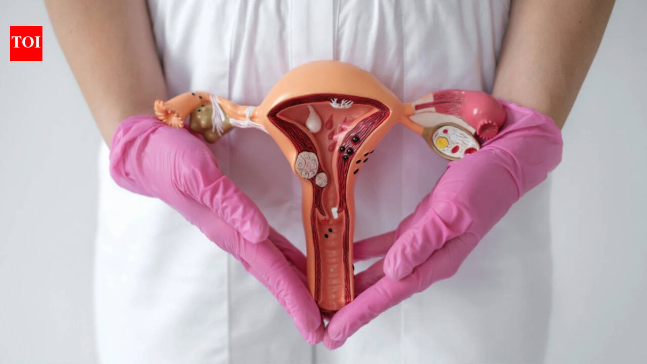 What happens after menopause? Ovaries take a second job instead of retiring, reproductive biologist reveals