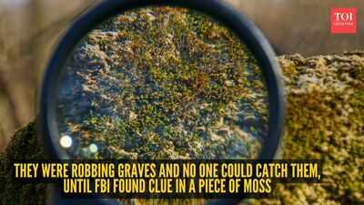 They were robbing graves and no one could catch them, until FBI found clue in a piece of moss