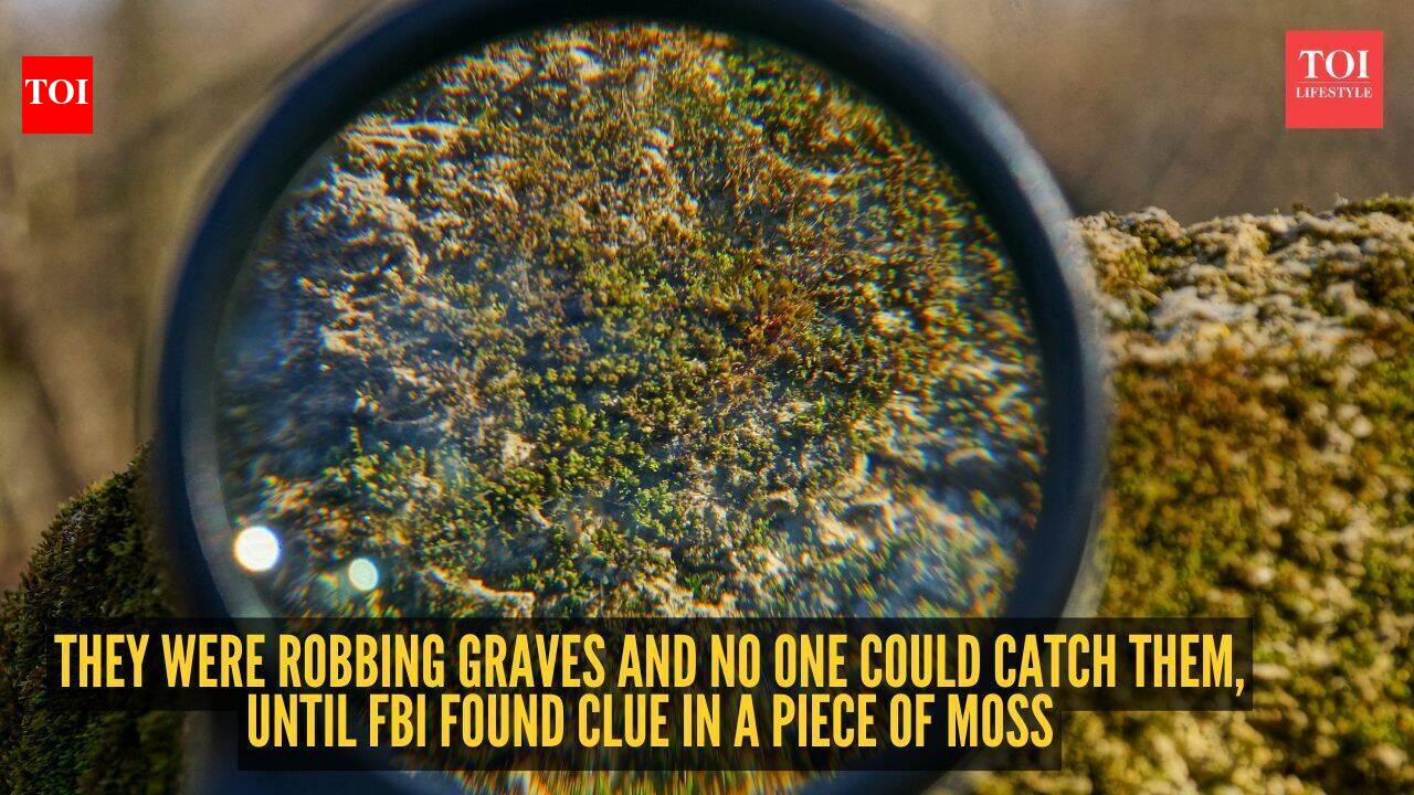They were robbing graves and no one could catch them, until FBI found clue in a piece of moss
