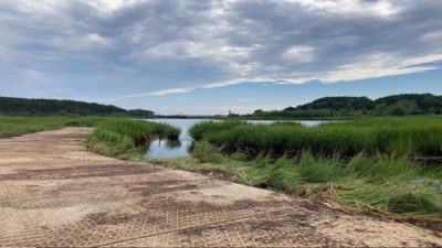 A single drought flooded a Massachusetts marsh with saltwater, causing its methane emissions to collapse almost to zero, and they stayed suppressed long after rains returned