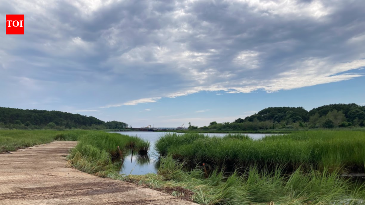 A single drought flooded a Massachusetts marsh with saltwater, causing its methane emissions to collapse almost to zero, and they stayed suppressed long after rains returned