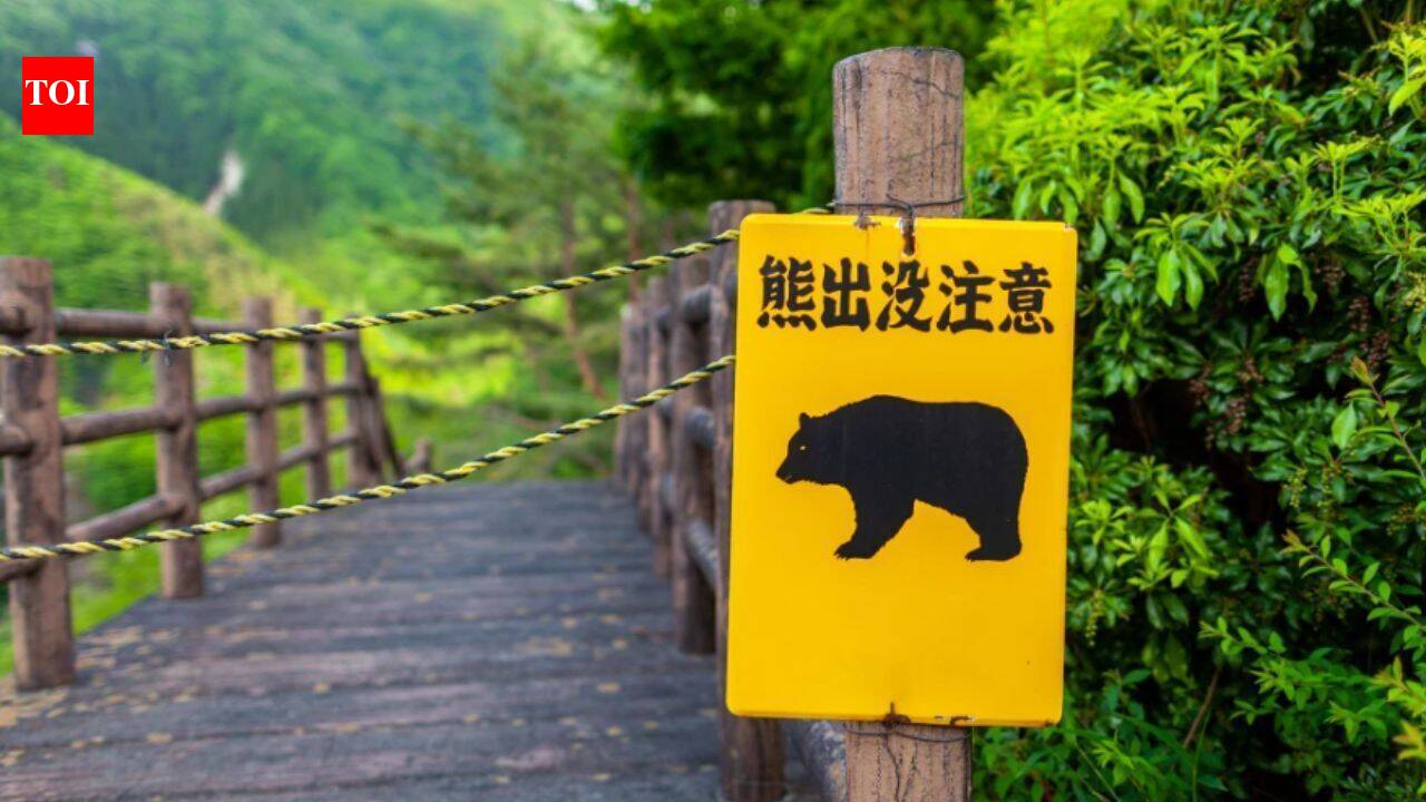 A Japan mountain trail reopened after a fatal bear attack. Hours later, another brown bear stranded four hikers
