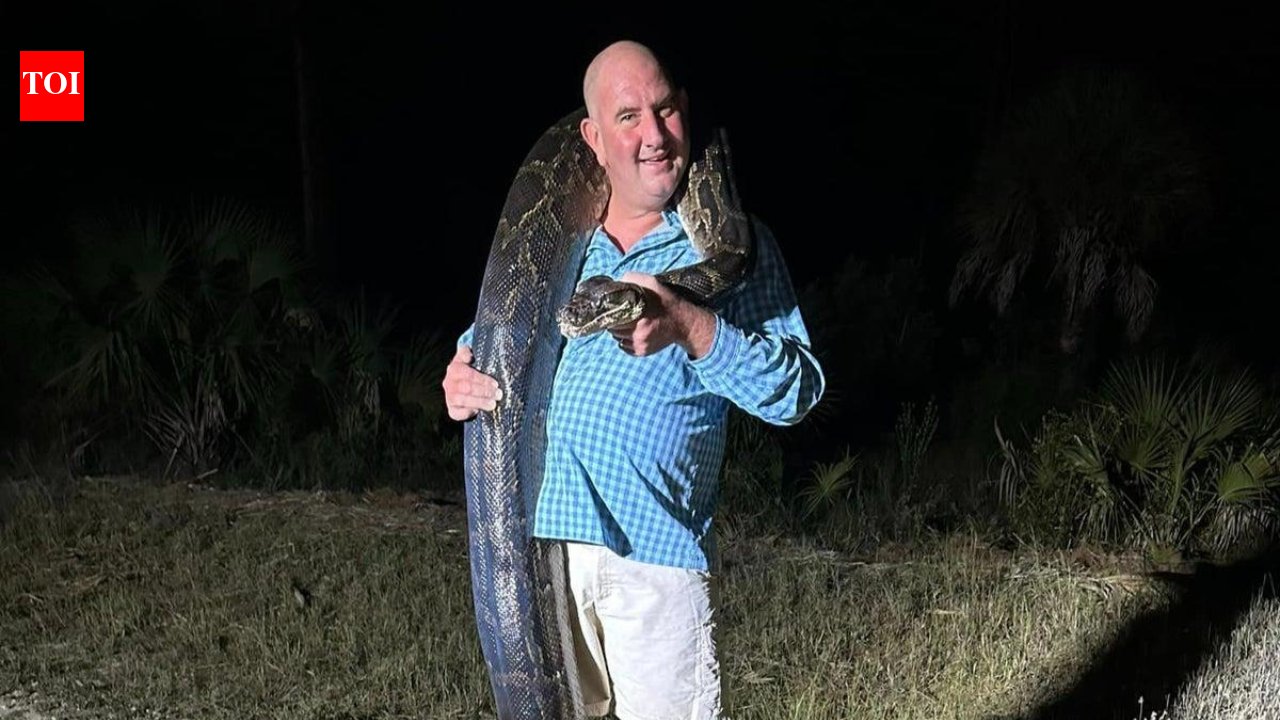 Florida dad grabbed a 202-pound Burmese python, then it started dragging him towards a canal before his entire family took down the giant snake