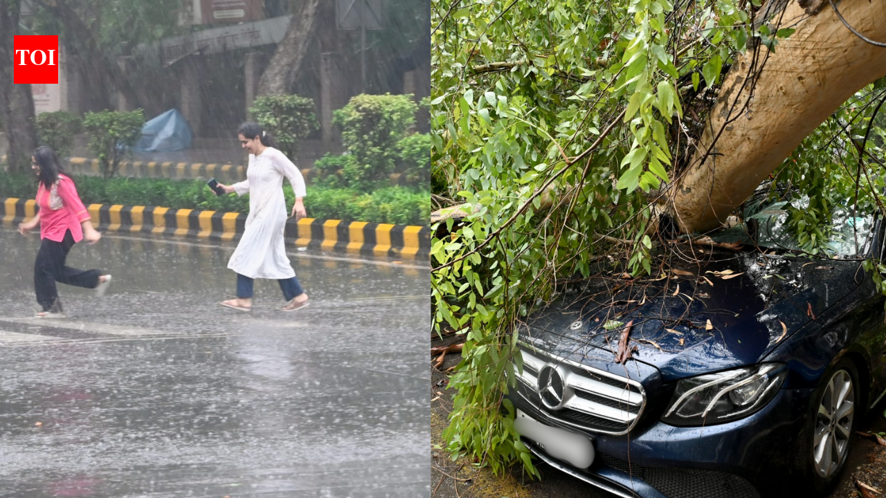 Roads flooded, vehicles damaged as heavy rain lashes Delhi-NCR; IMD issues 'yellow' alert till July 9