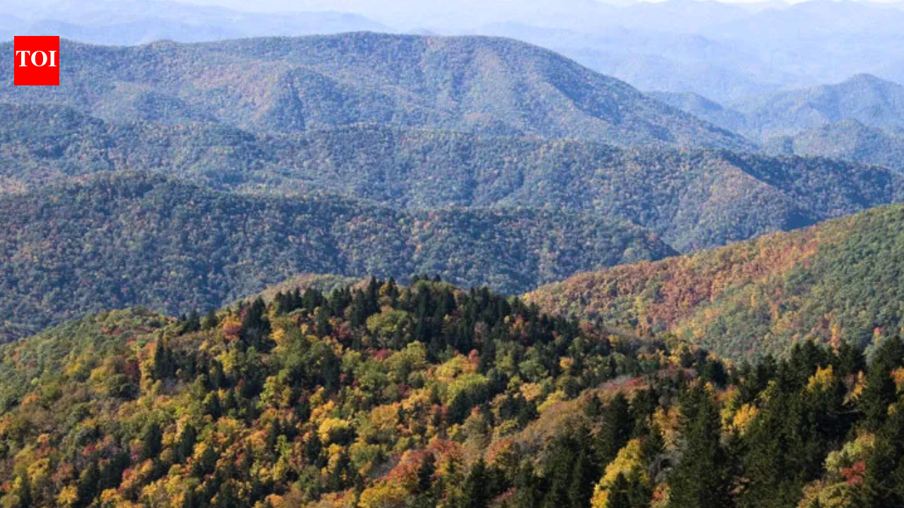 Buried treasure: Appalachian Mountains hold enough lithium to make 500 billion smartphones and 130 million electric vehicles, scientists discover
