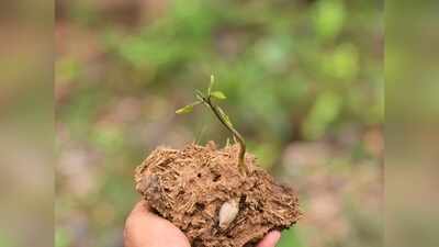  Keep the food inside forests by using seeds from dung to grow trees
