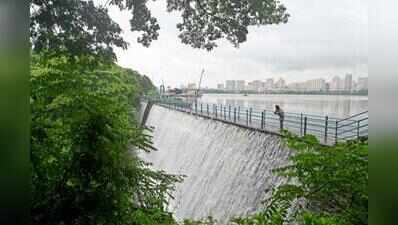 Water stocks in lakes supplying to Mumbai swell to 28.9%, up from 17% a day earlier