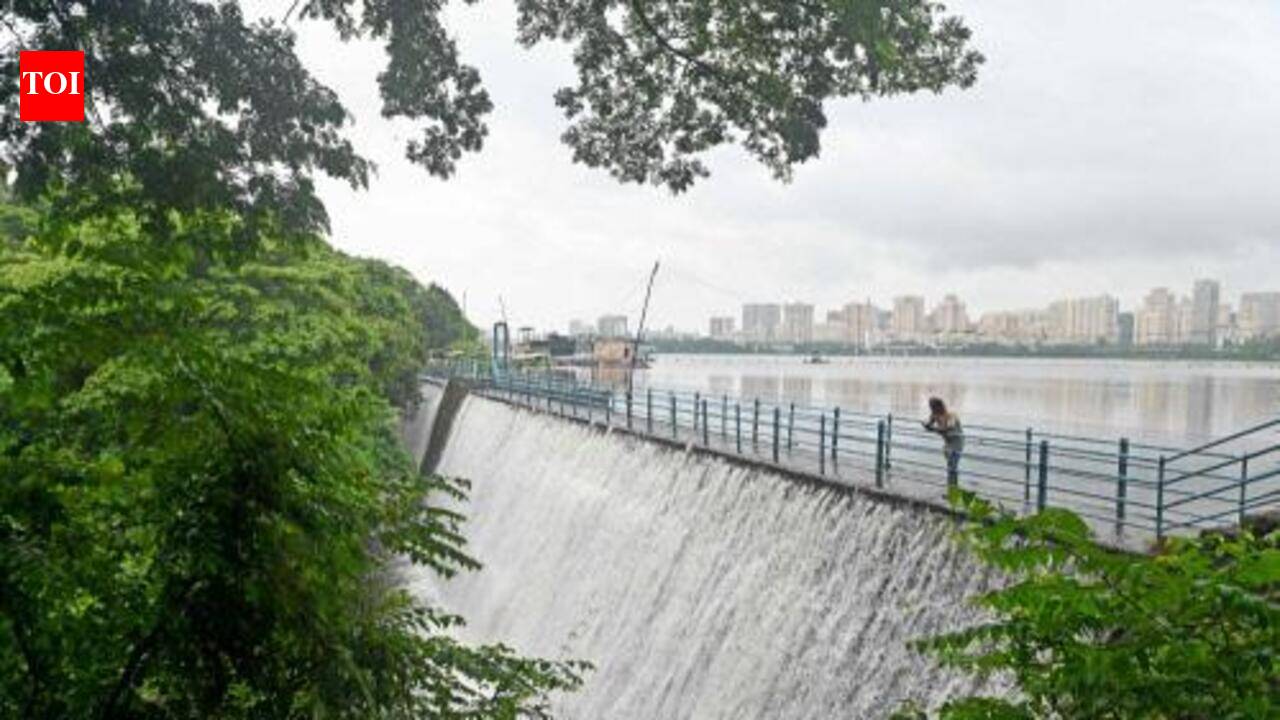 Water stocks in lakes supplying to Mumbai swell to 28.9%, up from 17% a day earlier