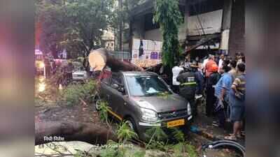 Thane woman suffers serious back injury in a tree crash amid heavy rain