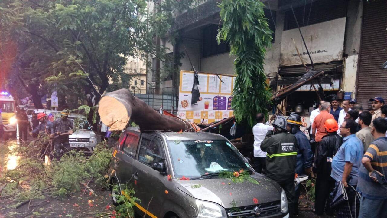 Thane woman suffers serious back injury in a tree crash amid heavy rain