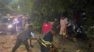 ICF senior engineer dies in Chennai after tree falls on motorcycle