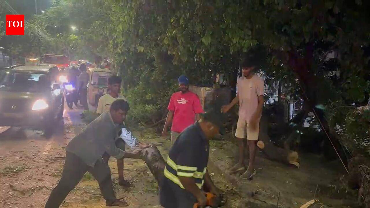 ICF senior engineer dies in Chennai after tree falls on motorcycle