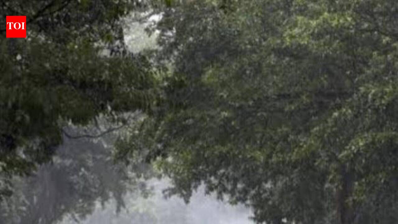 Belagavi beats monsoon deficit, enters excess rainfall zone