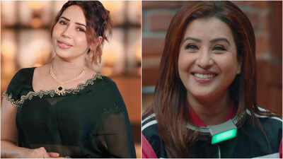 Rozlyn Khan receives support from Shilpa Shinde as she opens up about battling clinical depression after cancer