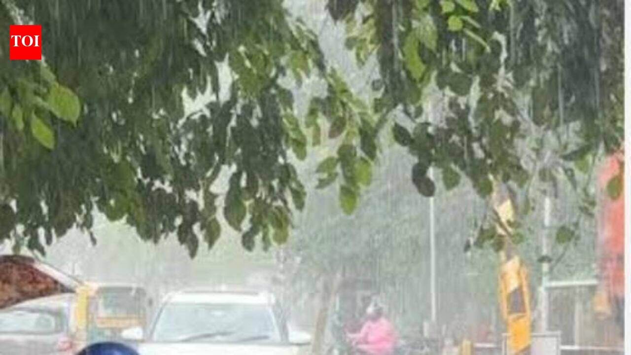 Monsoon fury continues as rain shuts schools, swells rivers