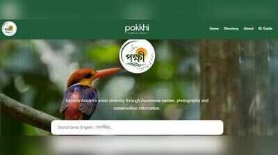 Assam launches 1st digital bird repository ‘Pokkhi’ with 376 species profiles