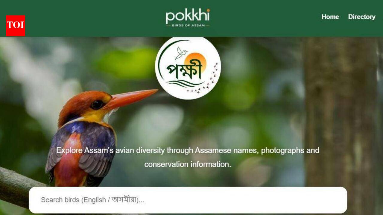 Assam launches 1st digital bird repository ‘Pokkhi’ with 376 species profiles