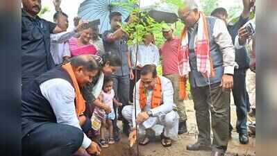 Govt to set up gardens for people to plant tree every birthday
