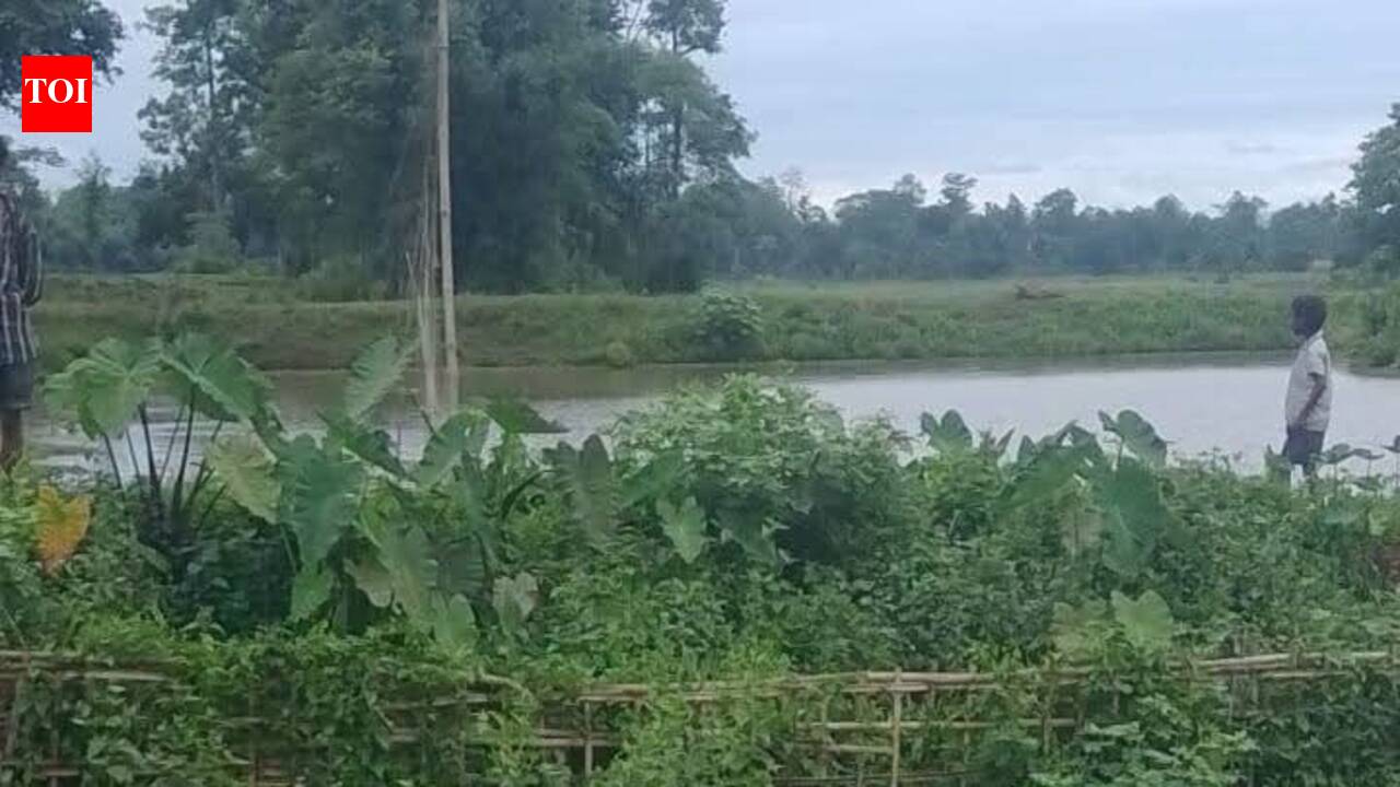 Elephant found dead in Tinsukia paddy field, probe on