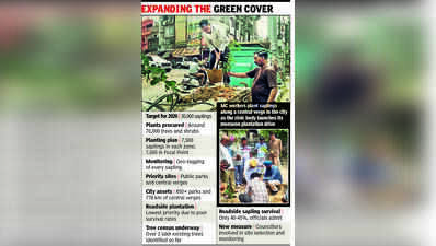 Parks, verges to gain from monsoon plantation drive