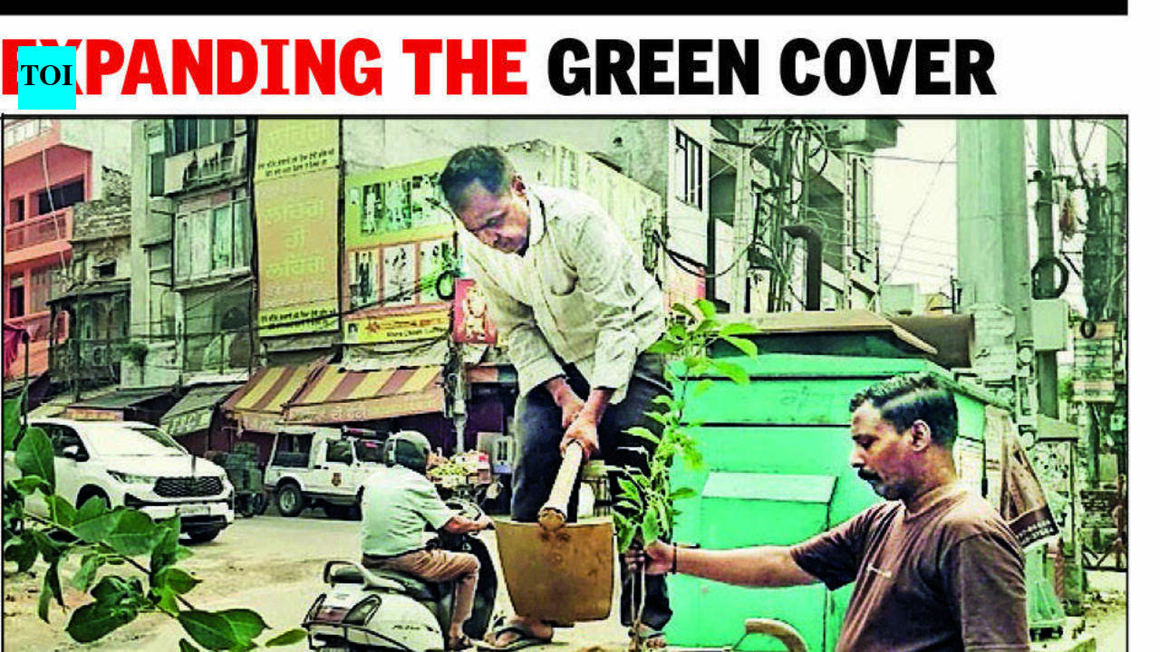 Parks, verges to gain from monsoon plantation drive