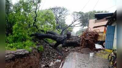 Heavy rain pounds Nashik, 25 trees fall; waterlogging disrupts normal life
