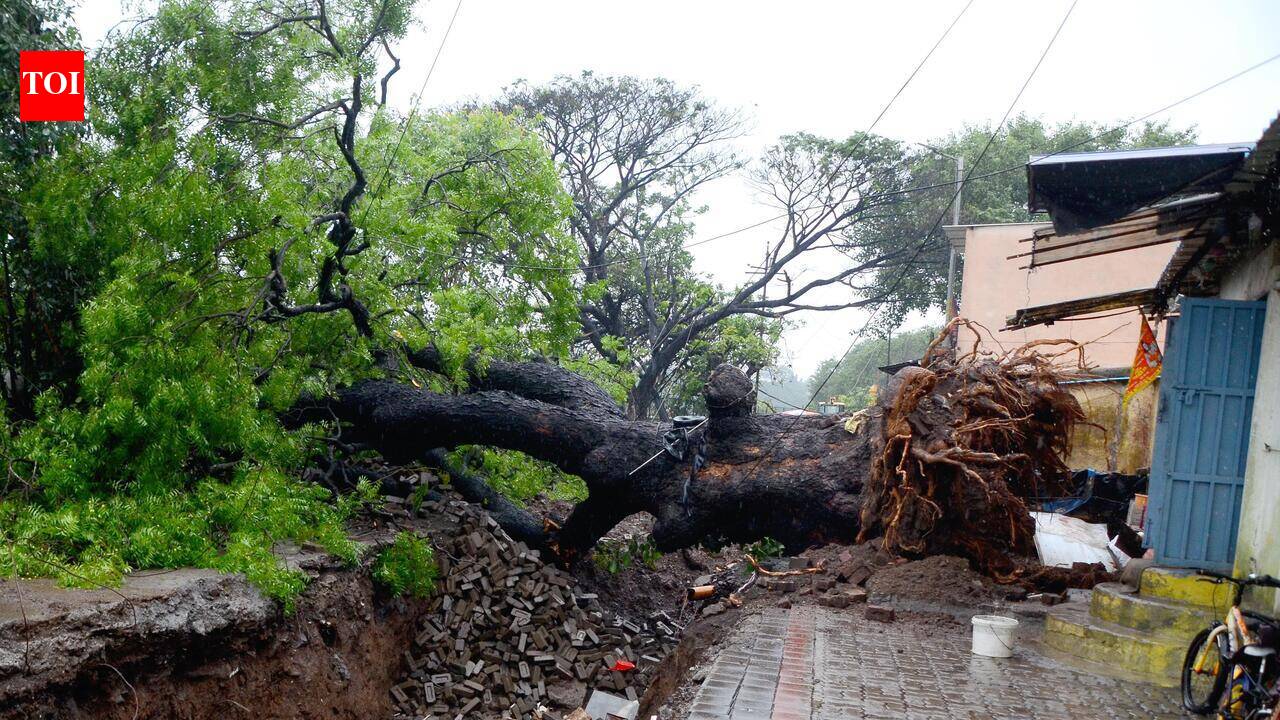 Heavy rain pounds Nashik, 25 trees fall; waterlogging disrupts normal life