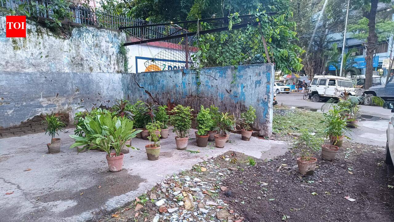 BMC clears out garbage pile in Salt Lake, places flower pots in ‘Swacch’ drive