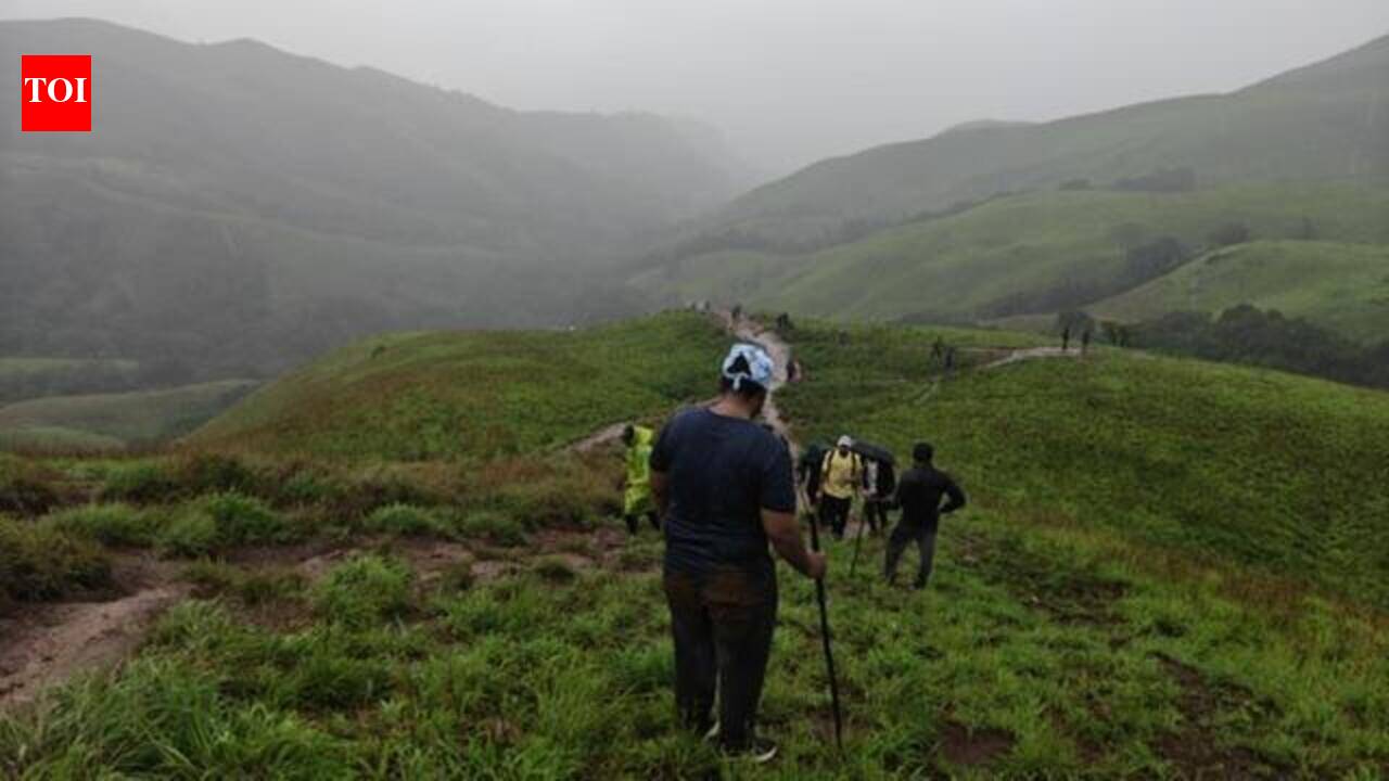 Sweat even before you trek: Demand surges & online portal struggles in Karnataka