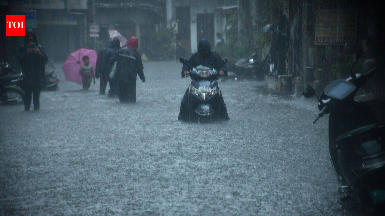 Rain pounds South Gujarat, life at standstill