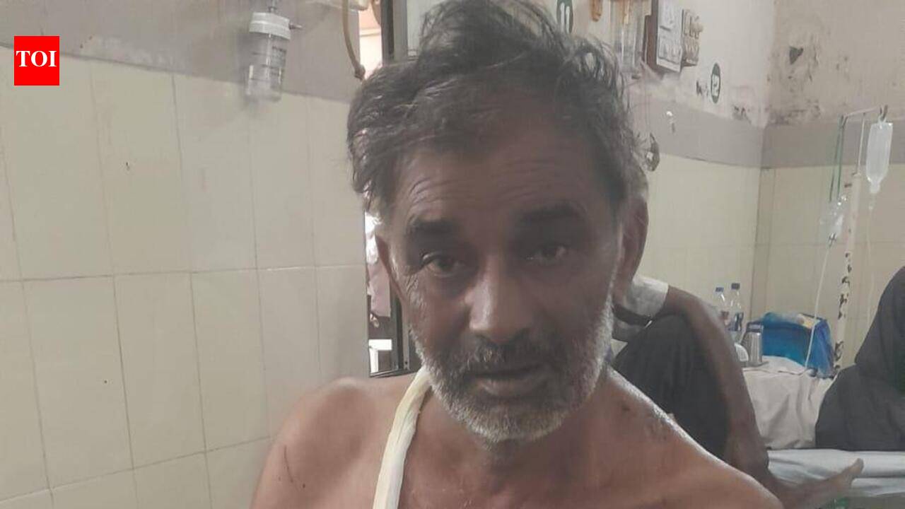 I was wondering whether I’d die there or in the hospital: Lion attack survivor