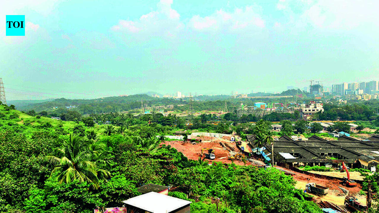 Gujarat creates 4,900 ha land bank to fast-track forest clearances for govt projects