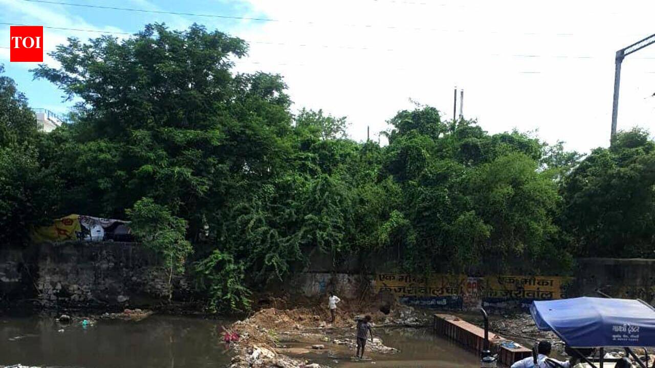 Overflowing drains, sludge piles choke Jaipur streets