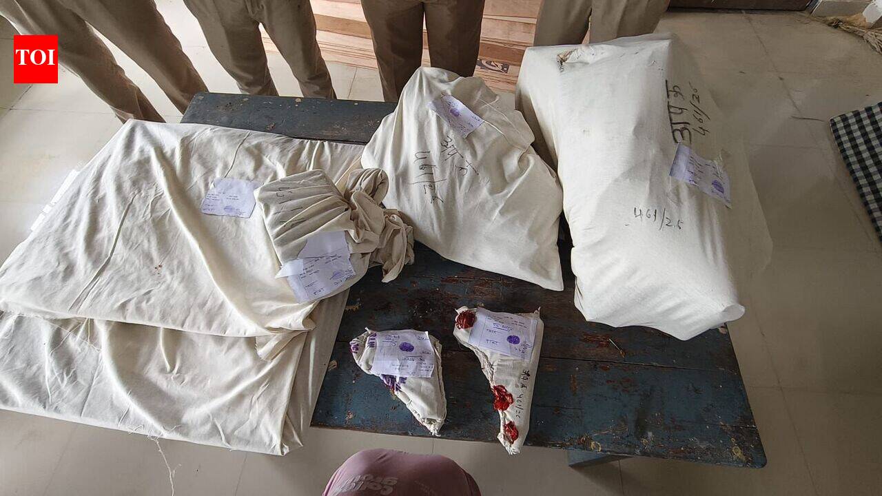 Illegal gun-making unit busted; one arrested, weapons seized
