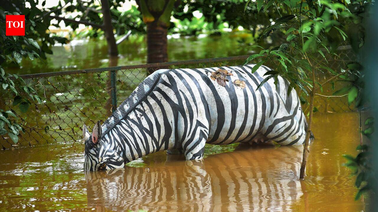 Rain to reduce significantly across state from tomorrow as monsoon weakens