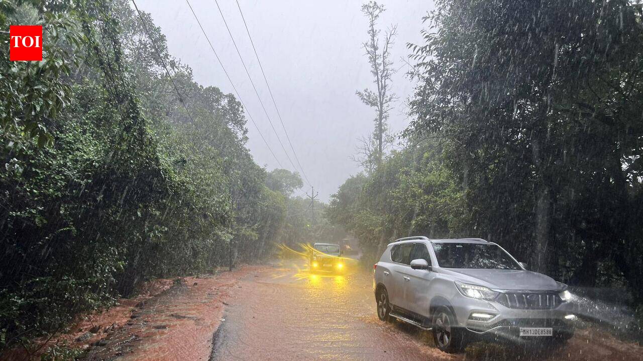 500-600mm rain continues to batter Western Ghats in Maharashtra; Mahabaleshwar among worst hit