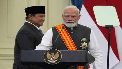 PM seeks UNSC reforms, inclusive development in Indonesia Parliament address