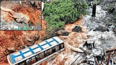 Kerala govt blames to 'unscientific dumping' after Wayanad landslip kills 3