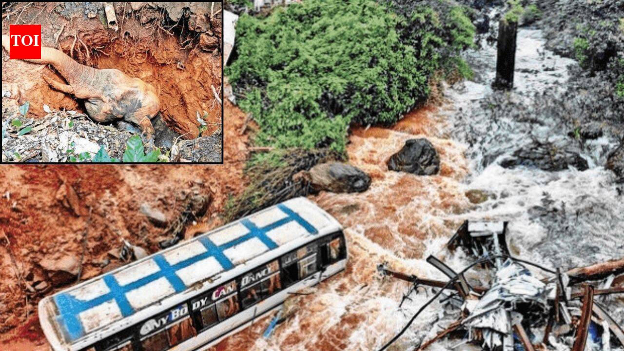 'Man-made disaster': Kerala govt blames to 'unscientific dumping' after Wayanad landslip kills 3