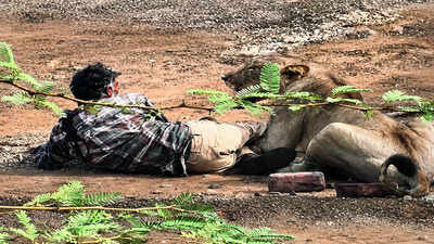 Why Gujarat villages are turning against the pride