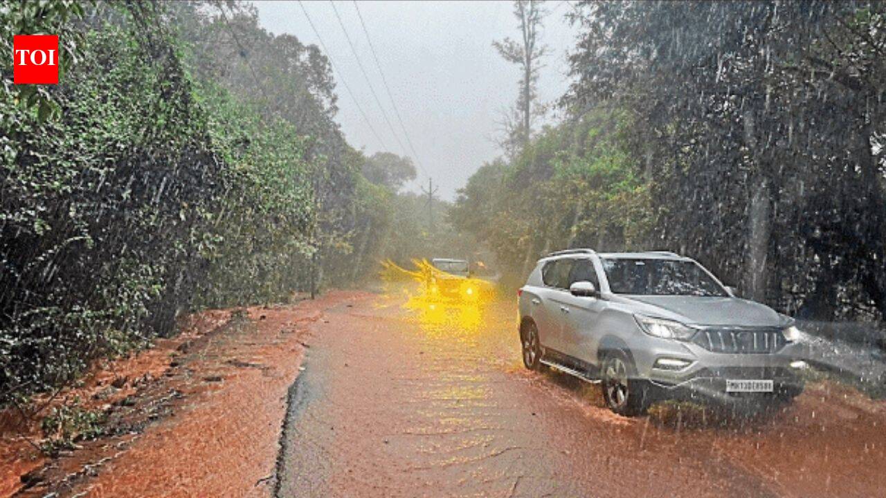 Rain continues to pound ghats in Maharashtra, landslides hit Mahabaleshwar