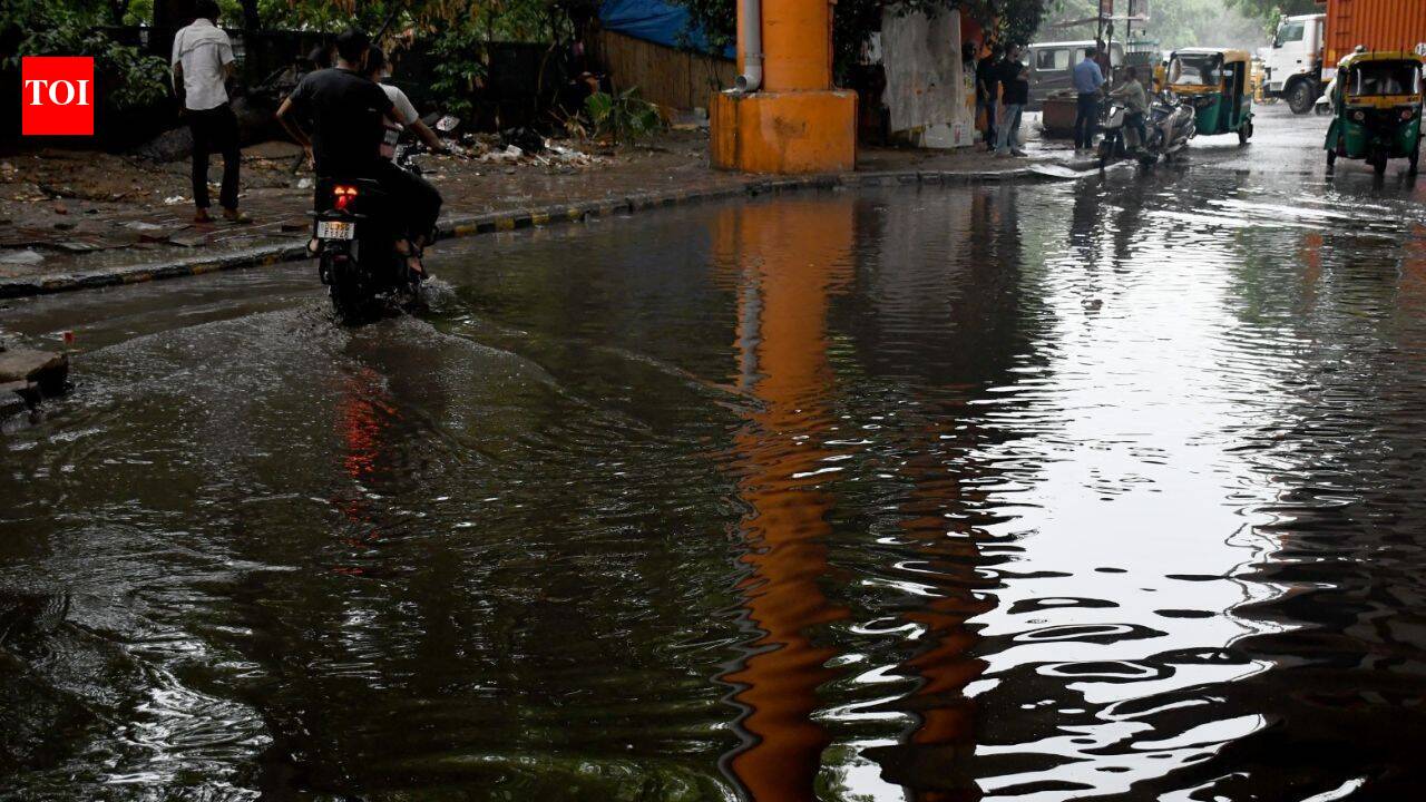 ‘E20 petrol can wait, pehle road sahi karo’