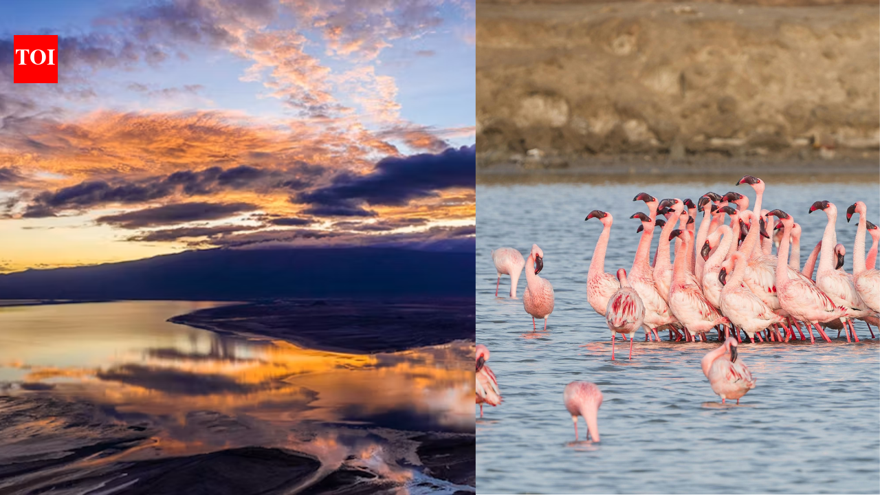 Tanzania's Lake Natron is one of the world's deadliest lakes, yet a paradise for flamingos