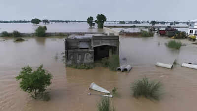 After last year's devastation, Punjab races against time to tame Ravi before monsoon fury returns