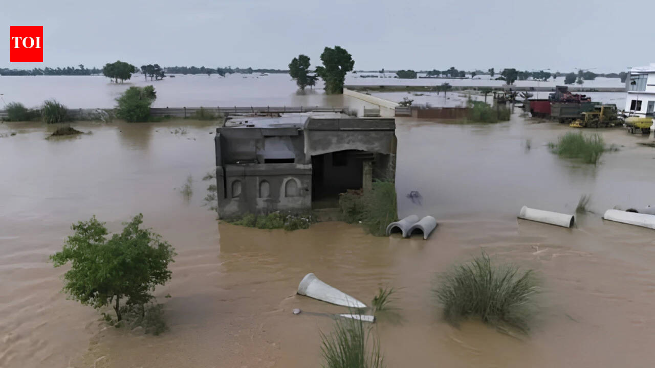 After last year's devastation, Punjab races against time to tame Ravi before monsoon fury returns