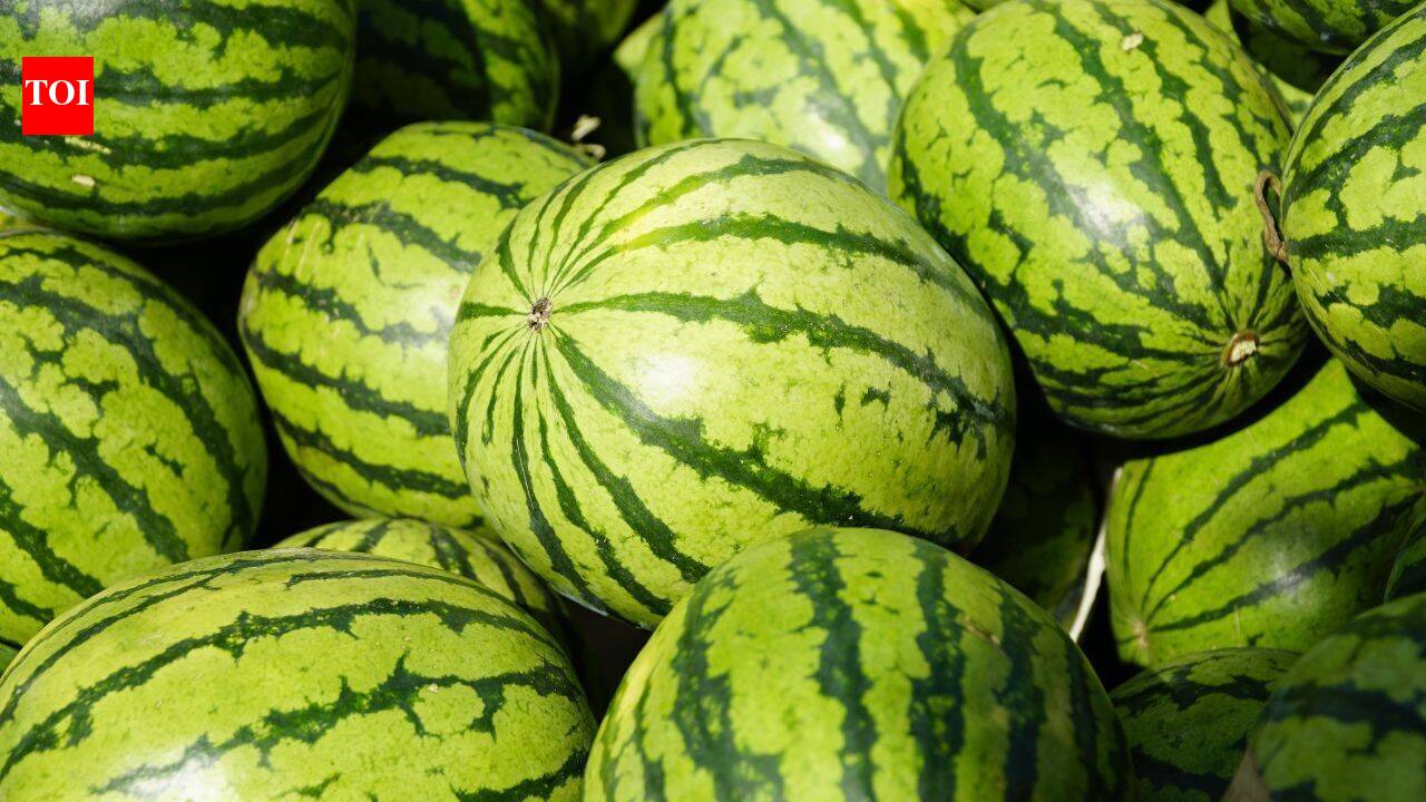 The sweetest watermelon is often the ugliest: 7 signs to look for before buying