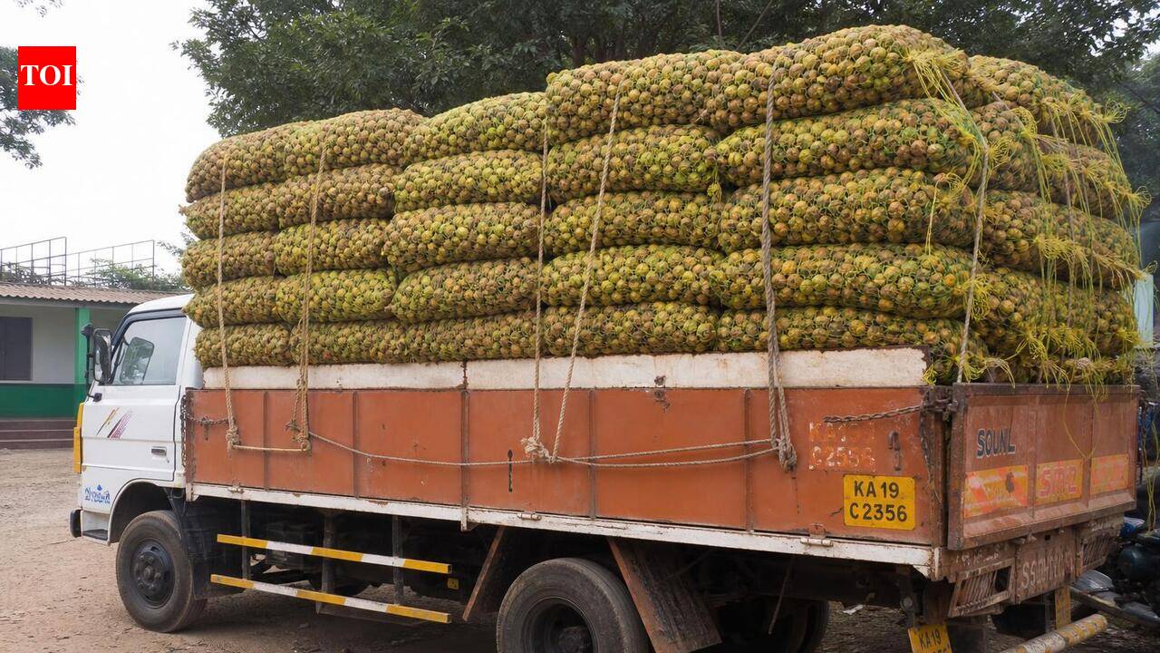 Maharashtra halts checks on Karnataka arecanut trucks