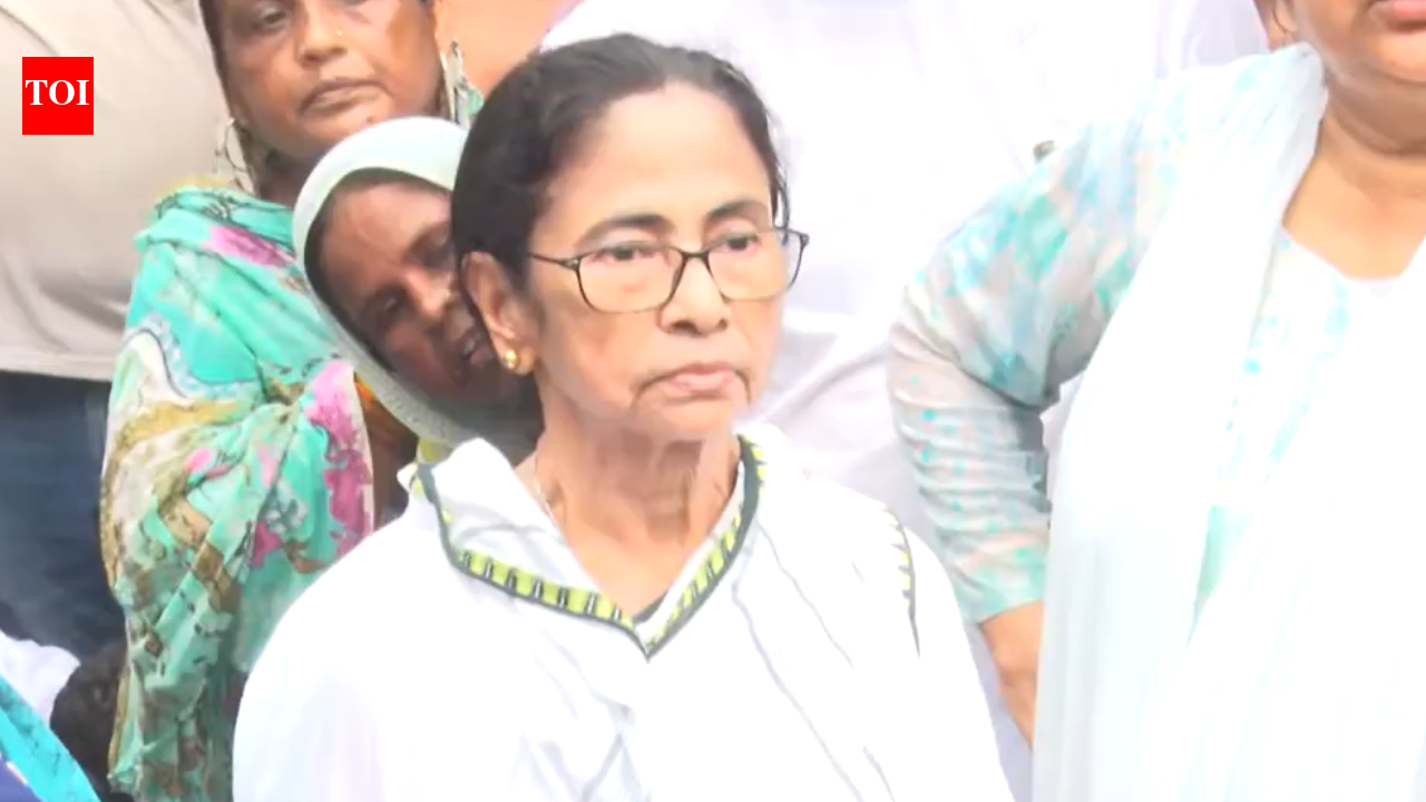 'Chor, chor': Eggs thrown at Mamata Banerjee's rally in West Bengal; watch