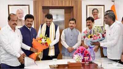 Karnataka delegation meets Maharashtra CM, raises concerns of arecanut growers